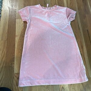 Pink crewcuts velour dress